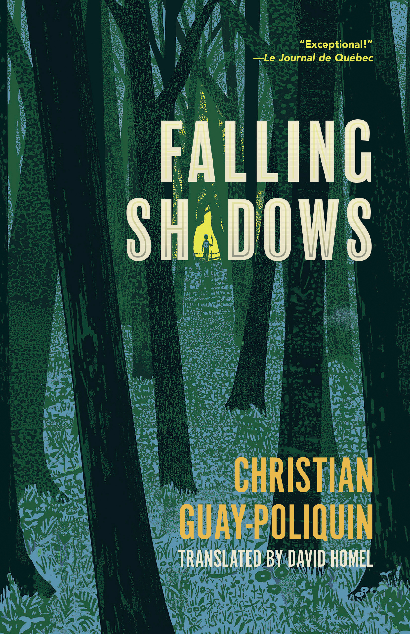 Falling Shadows Front Cover