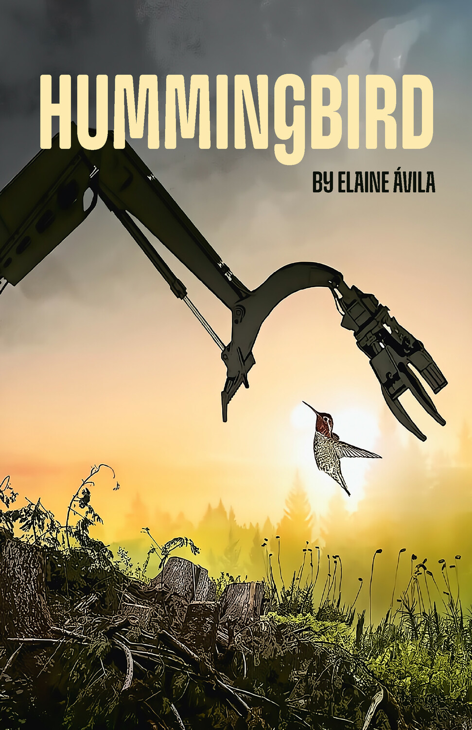 Hummingbird Front Cover